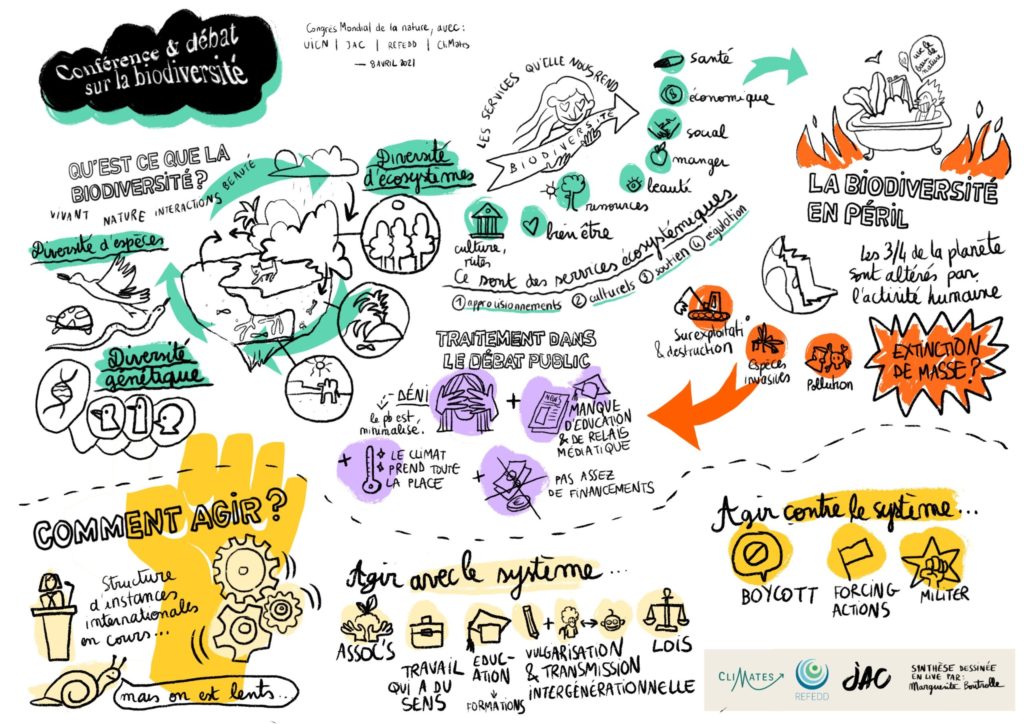 Nos deux ateliers “jeunesse et biodiversité” au sommet mondial de la jeunesse de l’UICN